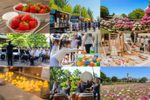 宇都宮市ろまんちっく村5月イベント