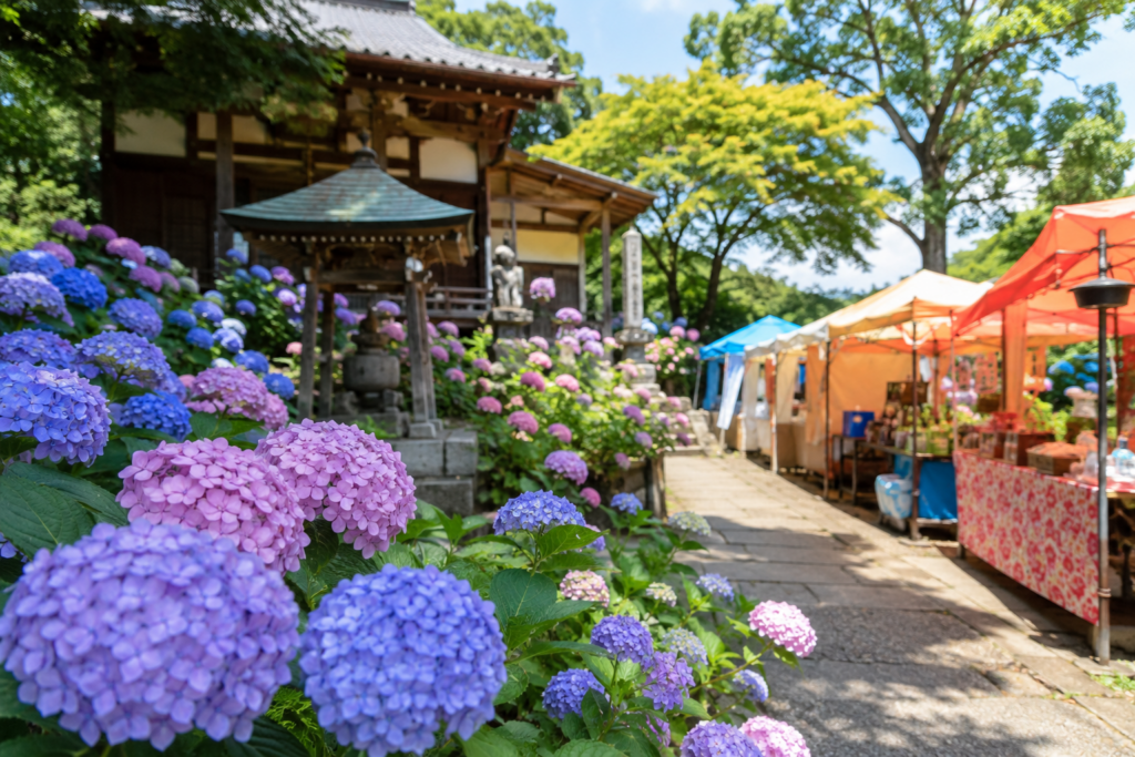 足利市・吉祥寺あじさい弁天まつり