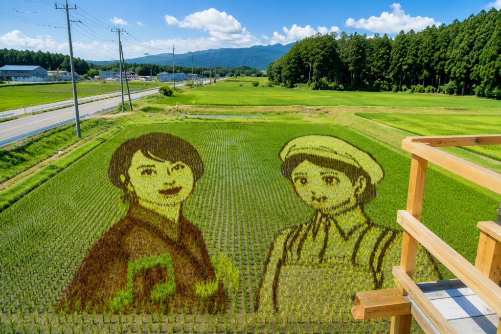 那須塩原市 田んぼアート