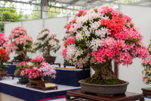 鹿沼さつき祭り