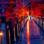 紅の吊橋